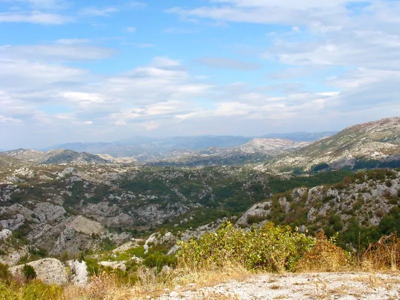 Typisch Montenegro: Büsche, Wälder und Felsen