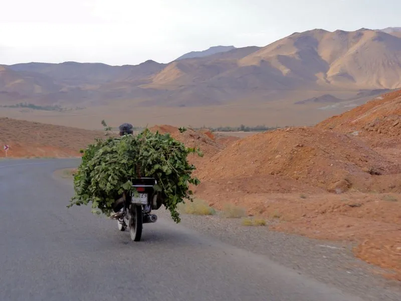 
Motorräder werden im Iran für alles Mögliche gebraucht. Oftmals fährt die
ganze Familie mit.
